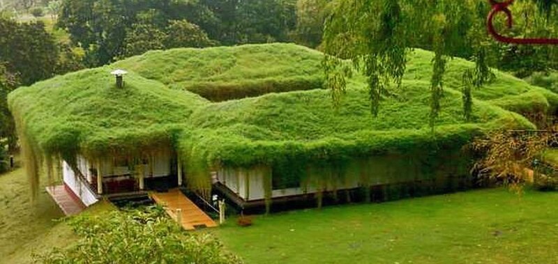 Grass-covered House — Green, Serene