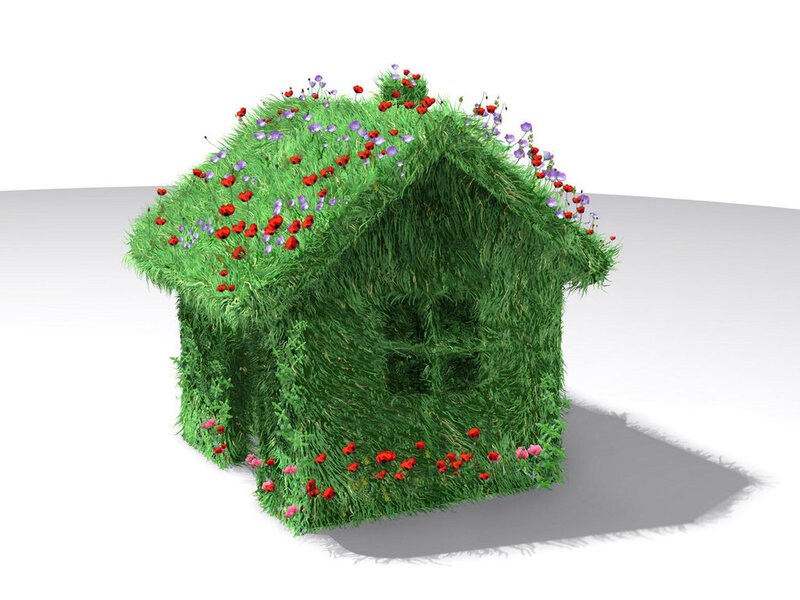 Grass-covered House