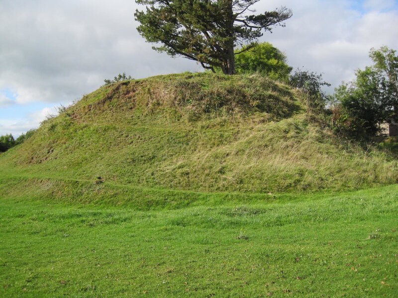 Grass-covered mound with tree