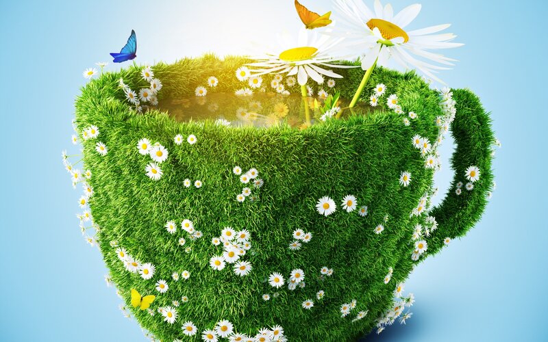 Grass-covered Teacup