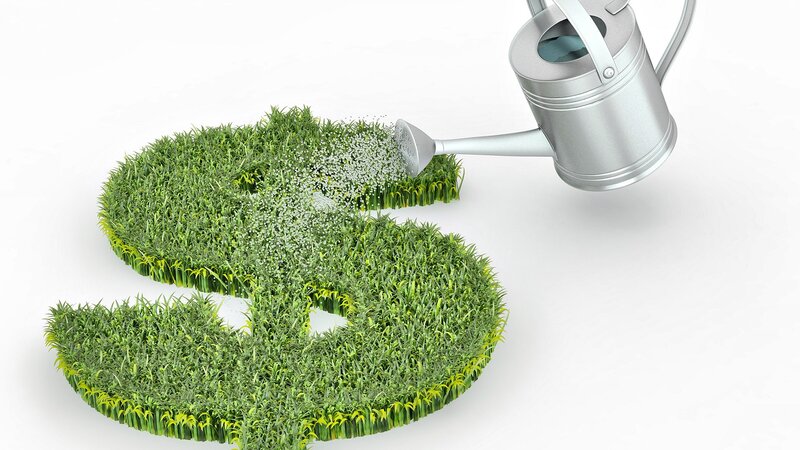 Grass Dollar Sign