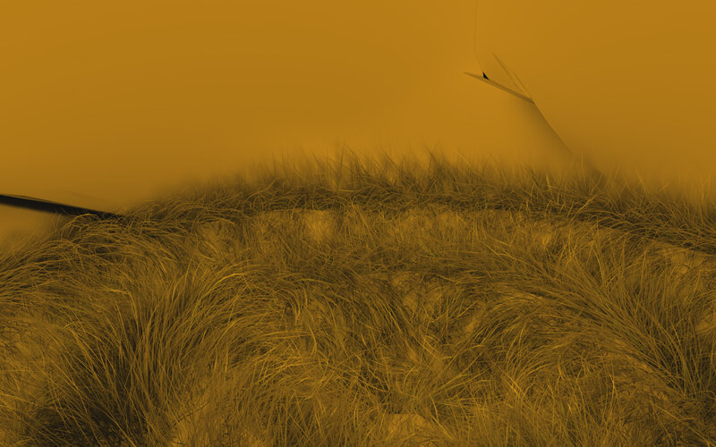 Grass dunes under yellow light