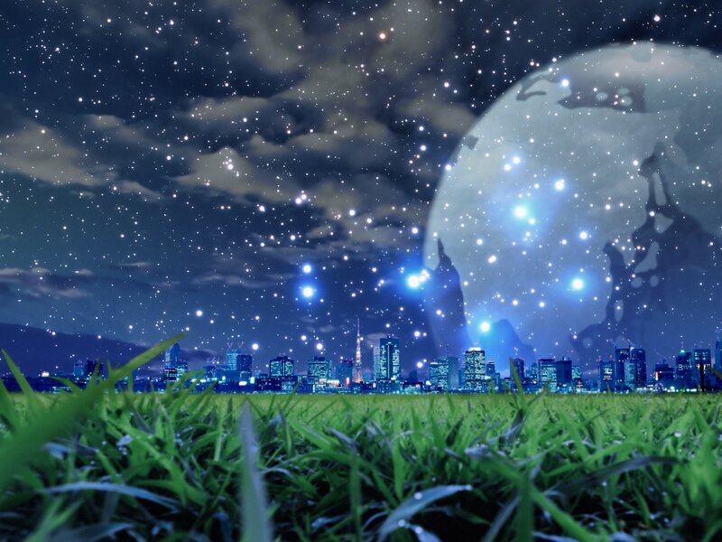 Grass Field at Night
