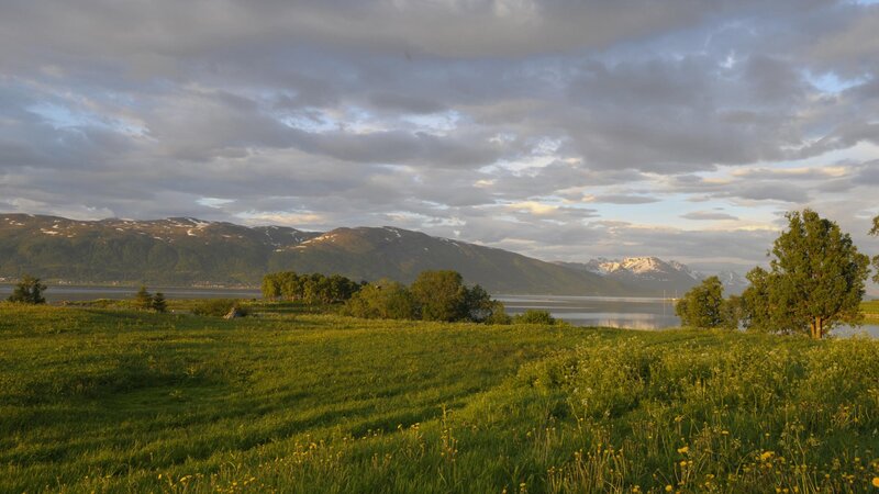 Grass field by a fjord at sunset