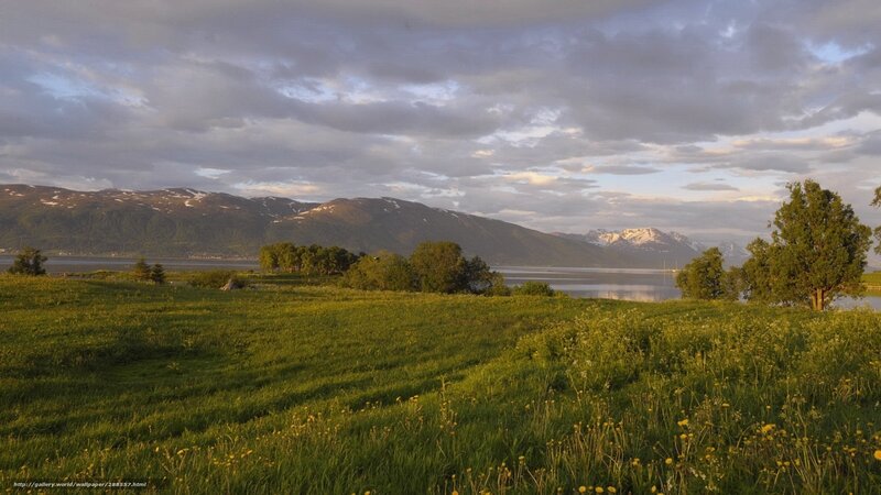 Grass field by a fjord