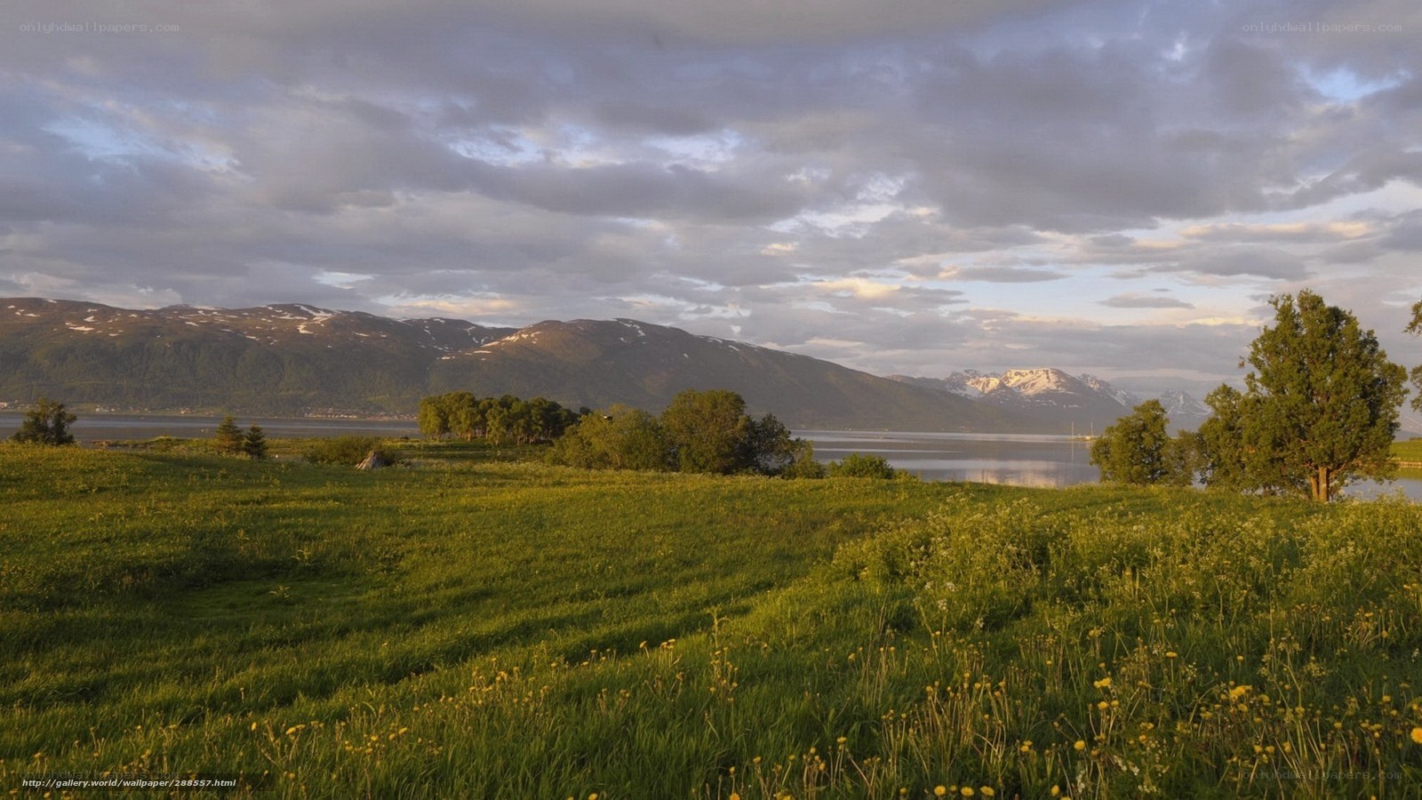 Grass field by a fjord