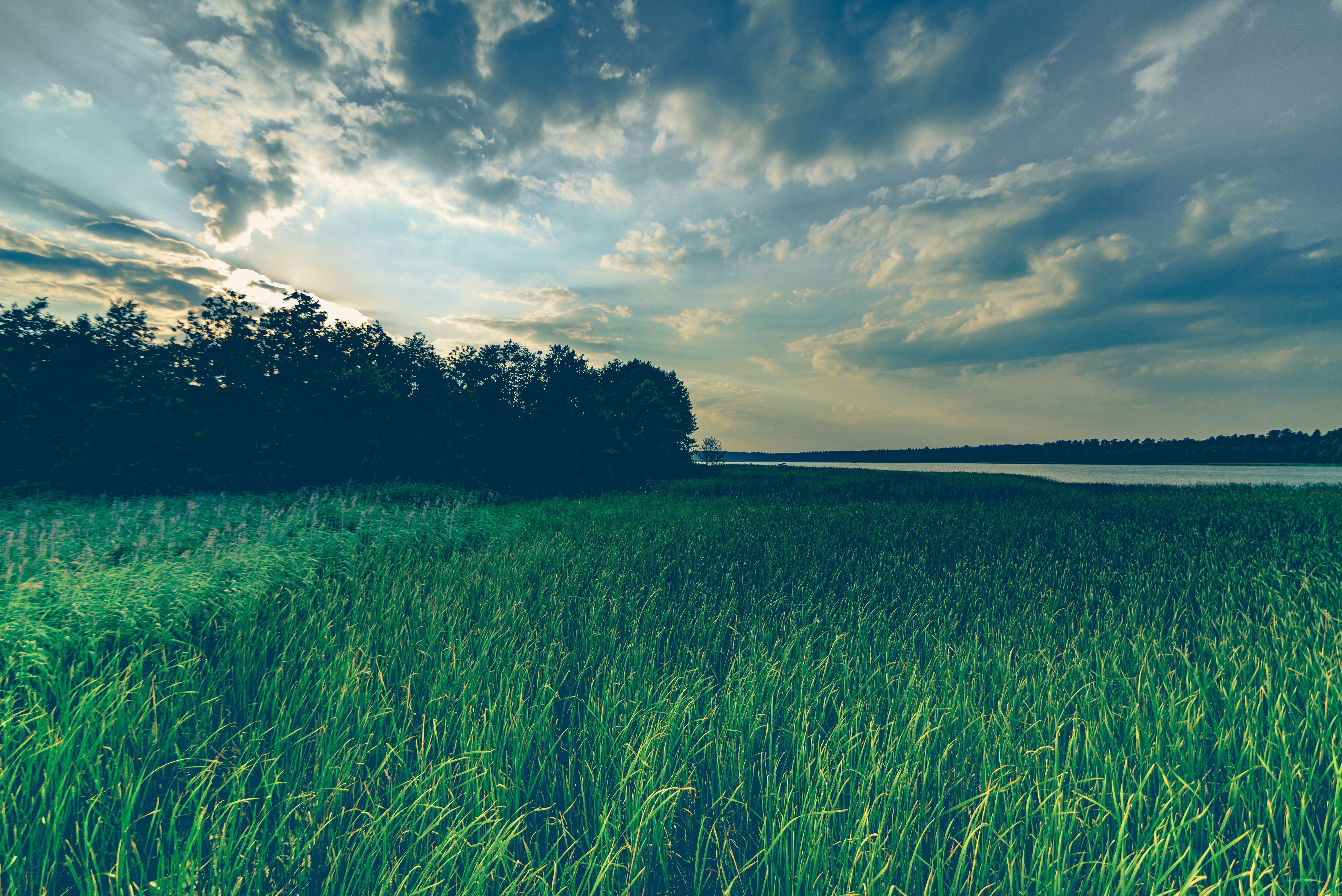 Grass field by lake at sunset