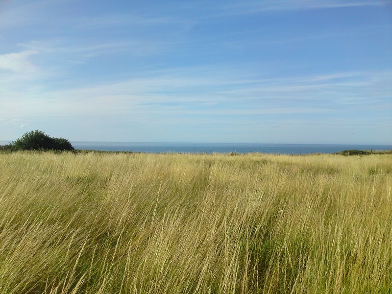 Grass field overlooking the sea