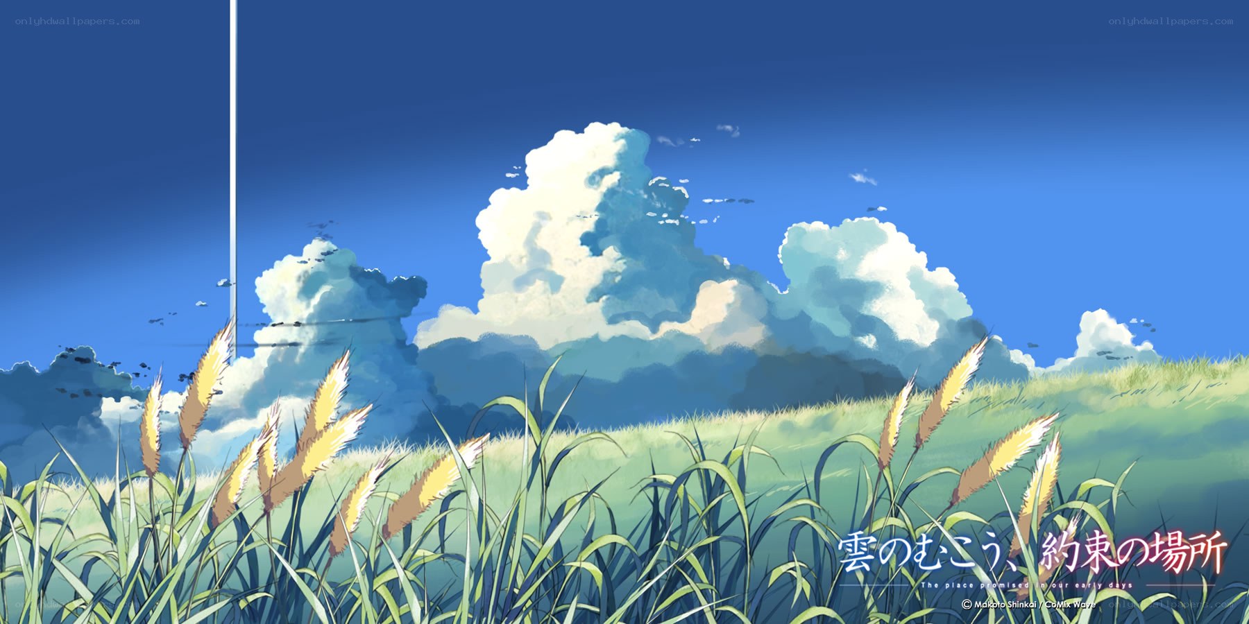 Grass field under blue sky