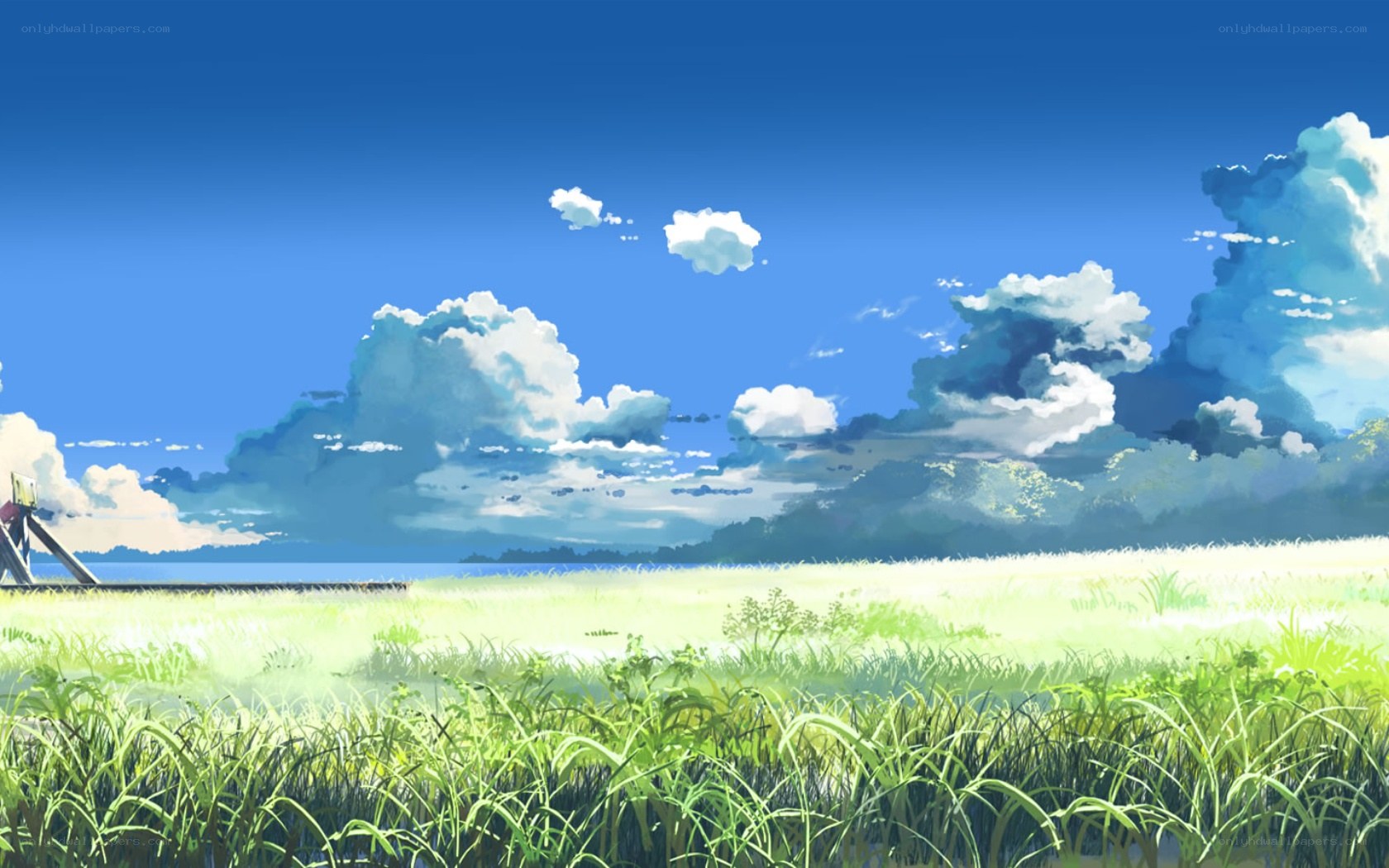 Grass field under blue sky