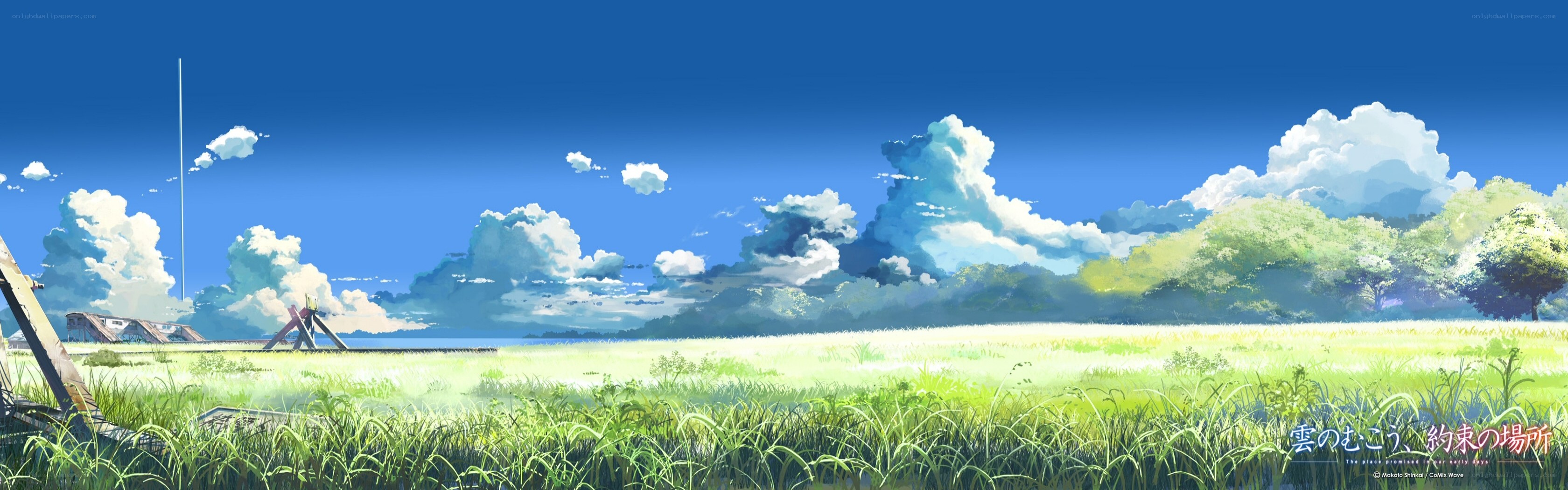 Grass field under blue sky