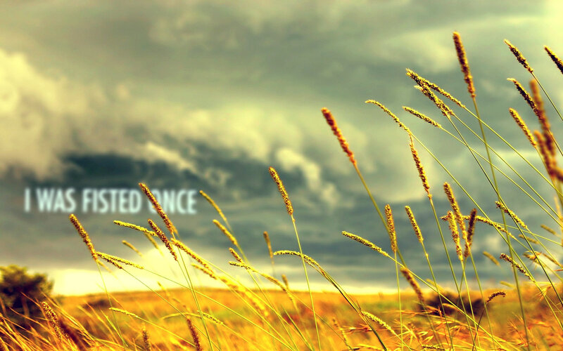 Grass field under cloudy sky