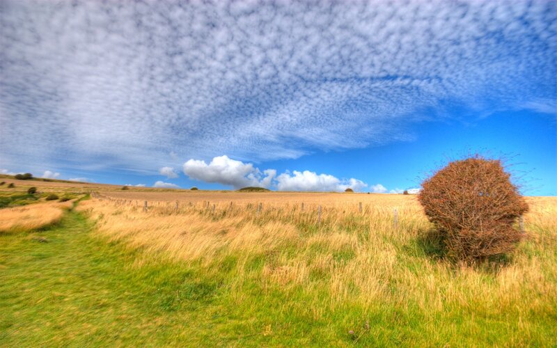 Grass field under cloudy sky