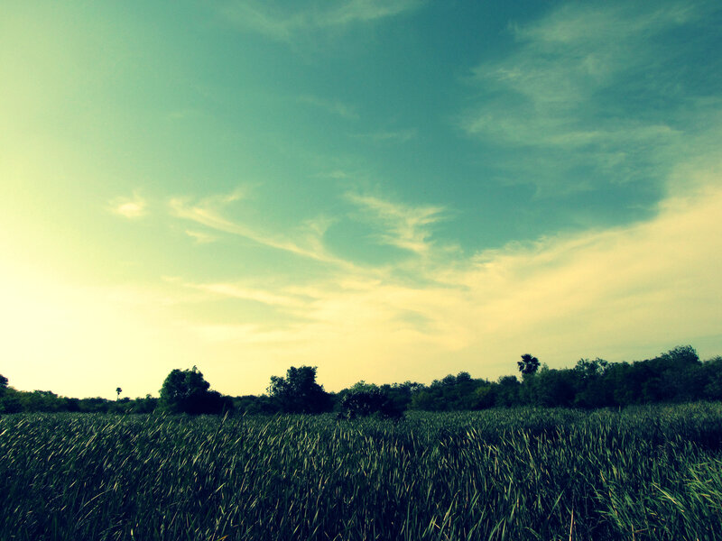 Grass field under cloudy sky