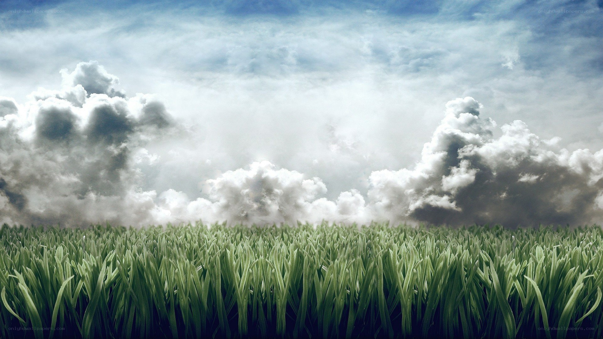 Grass field under cloudy sky