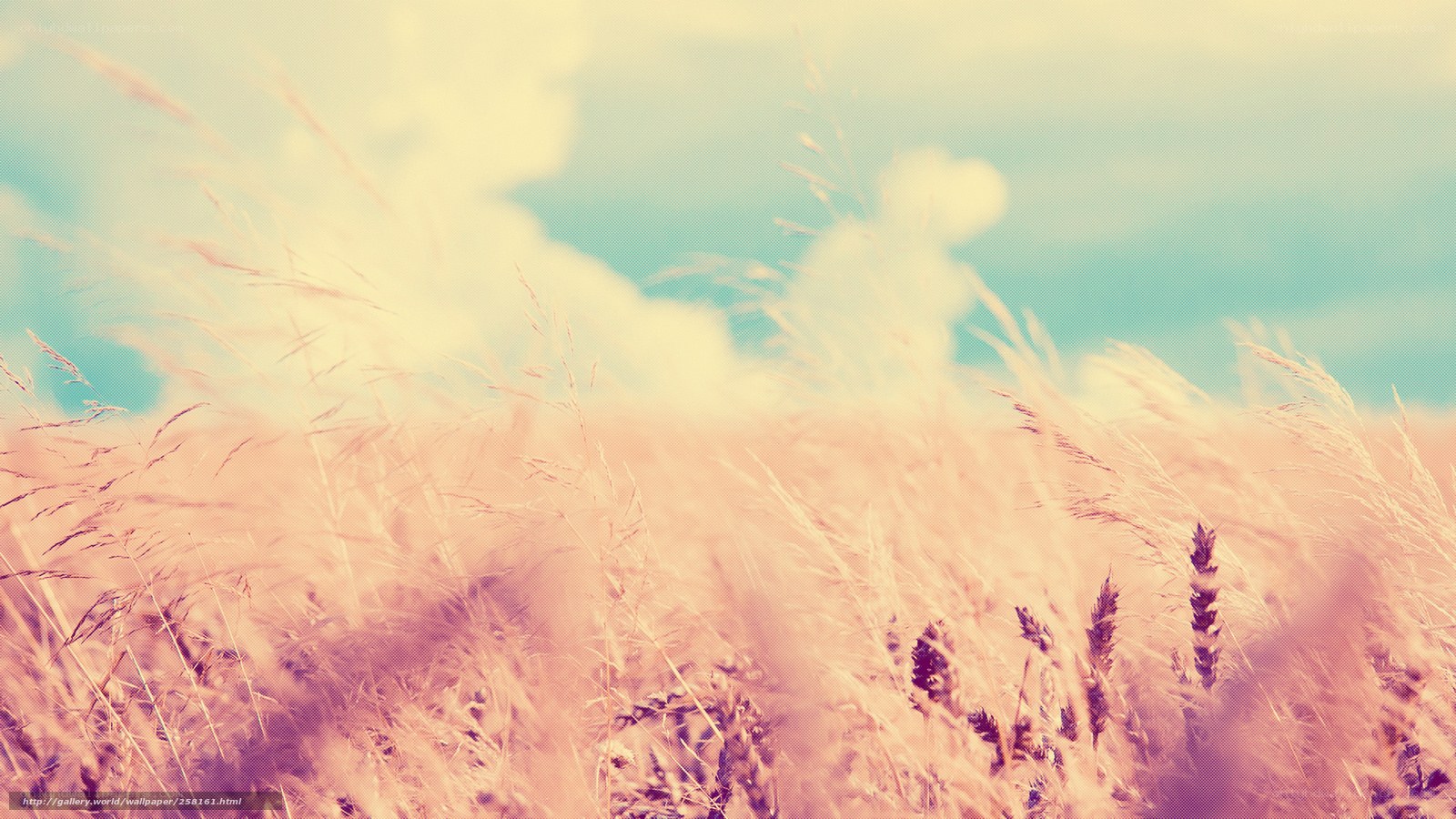 Grass field under cloudy sky