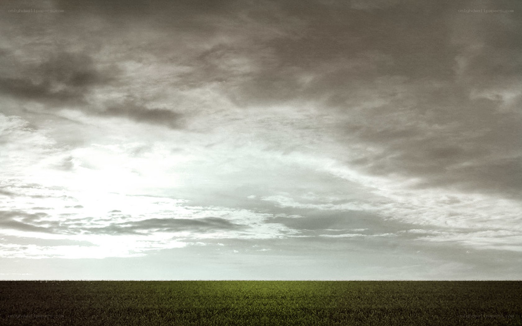 Grass field under cloudy sky