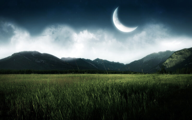 Grass Field under Moon
