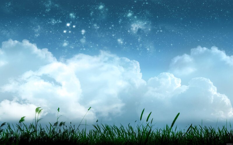 Grass Field under Stars