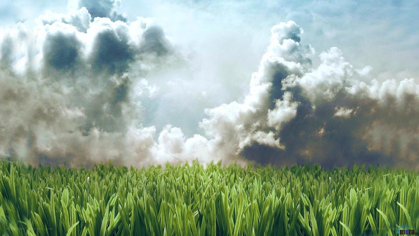 Grass field under storm clouds