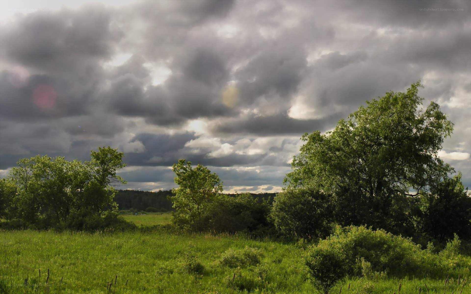 Grass field under stormy sky