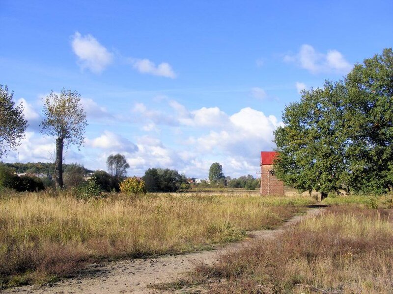 Grass field with brick building