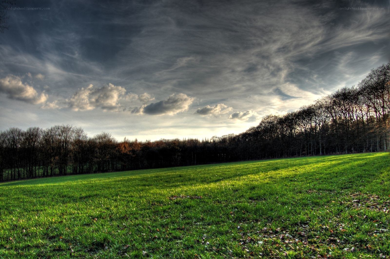 Grass field with cloudy sky