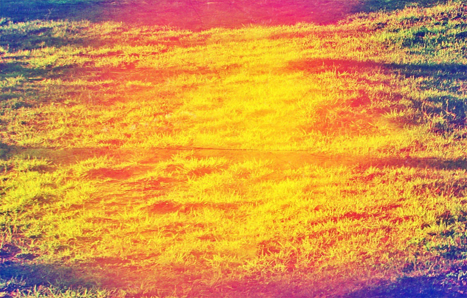 Grass field with color filter
