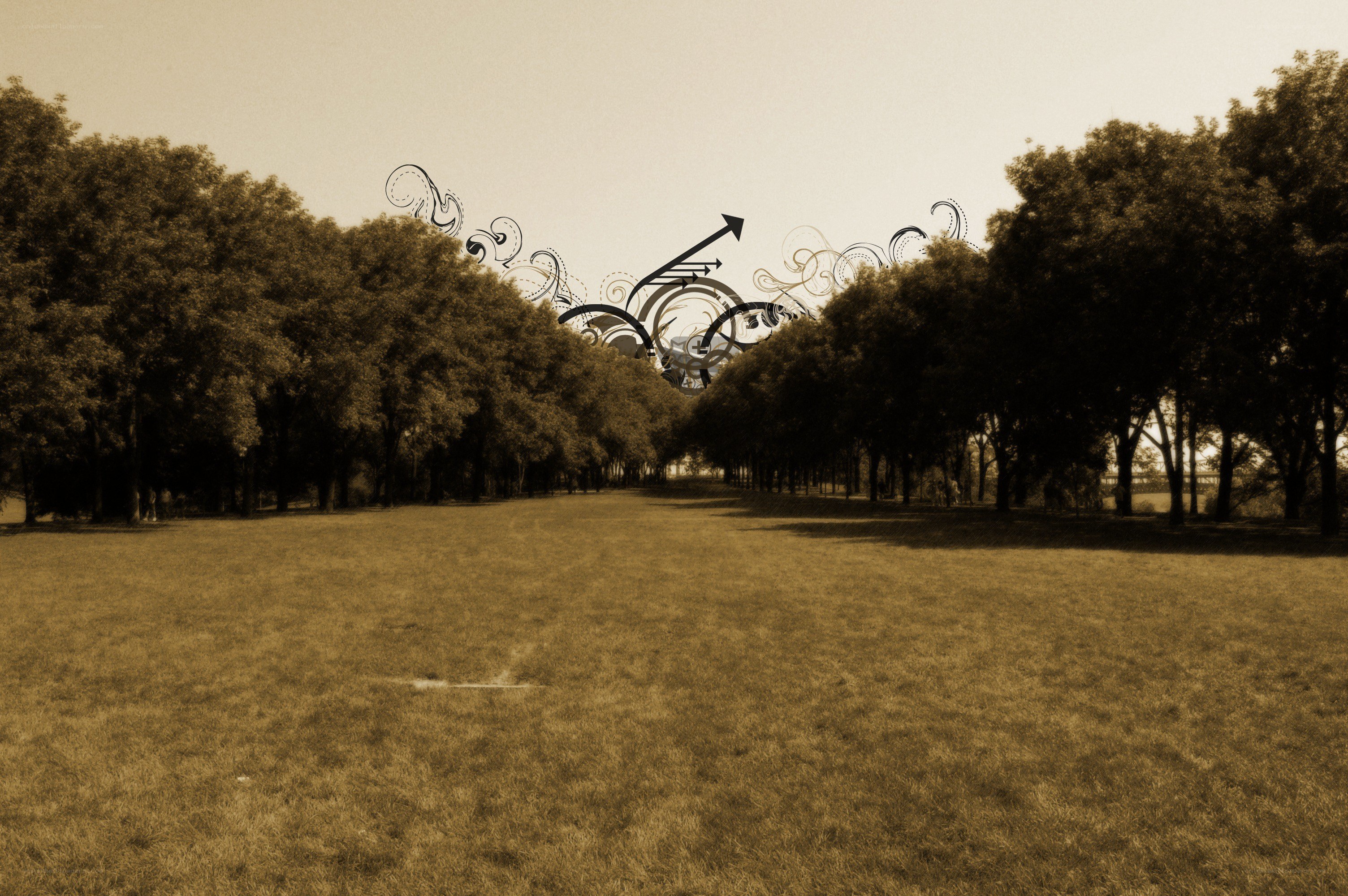 Grass field with decorative art