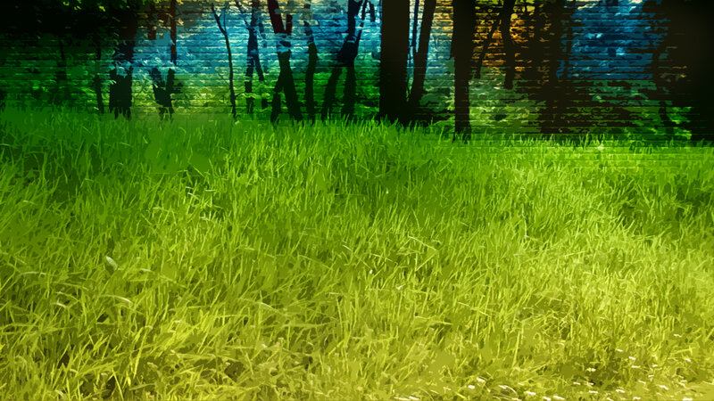 Grass field with forest background