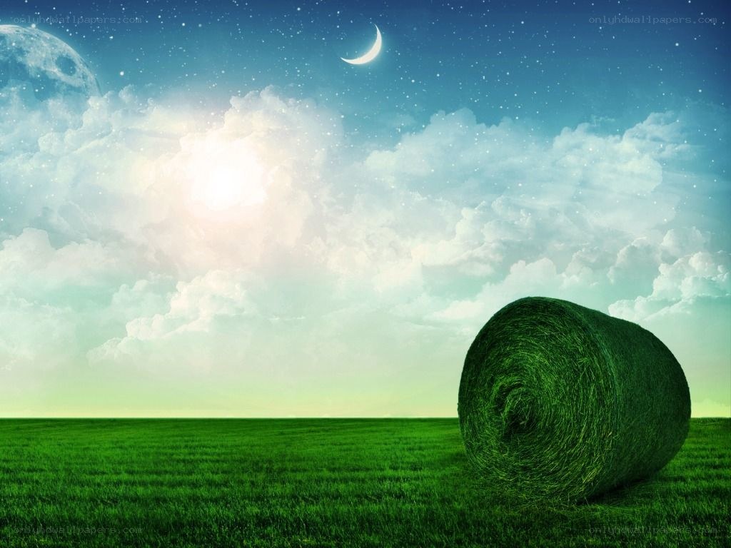 Grass field with hay bale