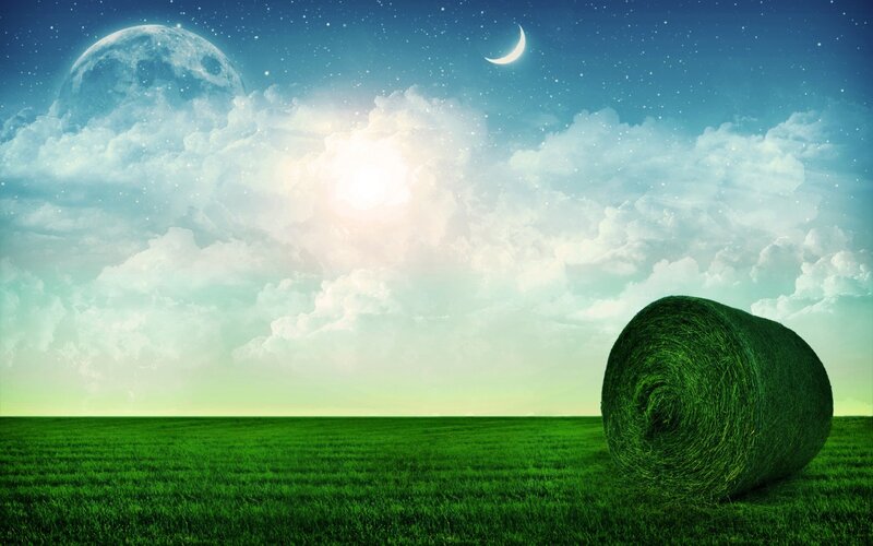 Grass field with hay bale