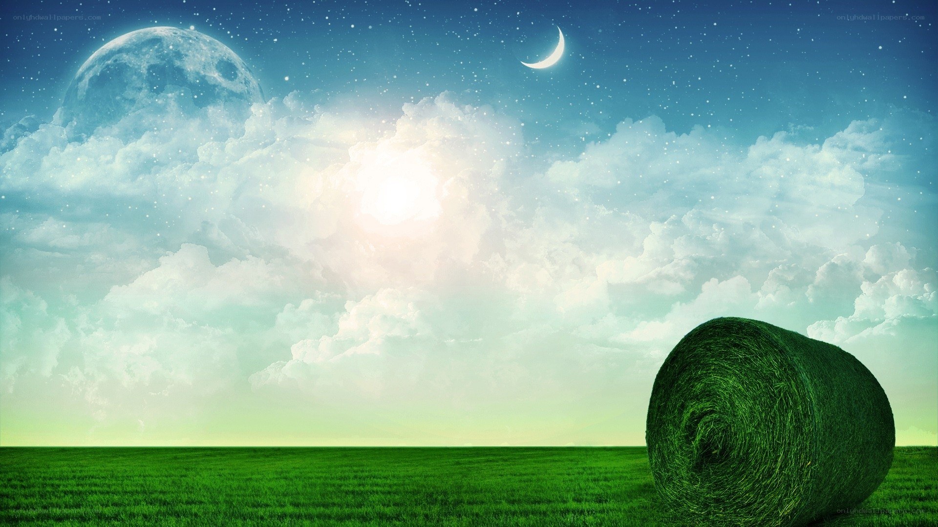 Grass field with hay bale