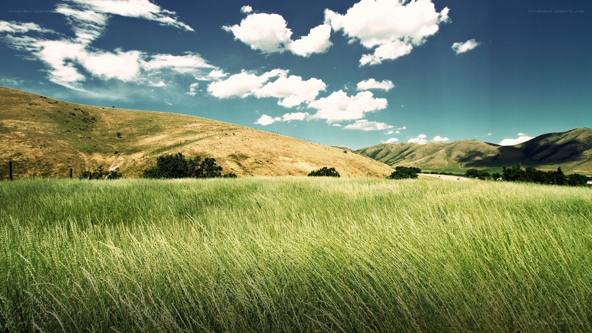 Grass field with hills and clouds