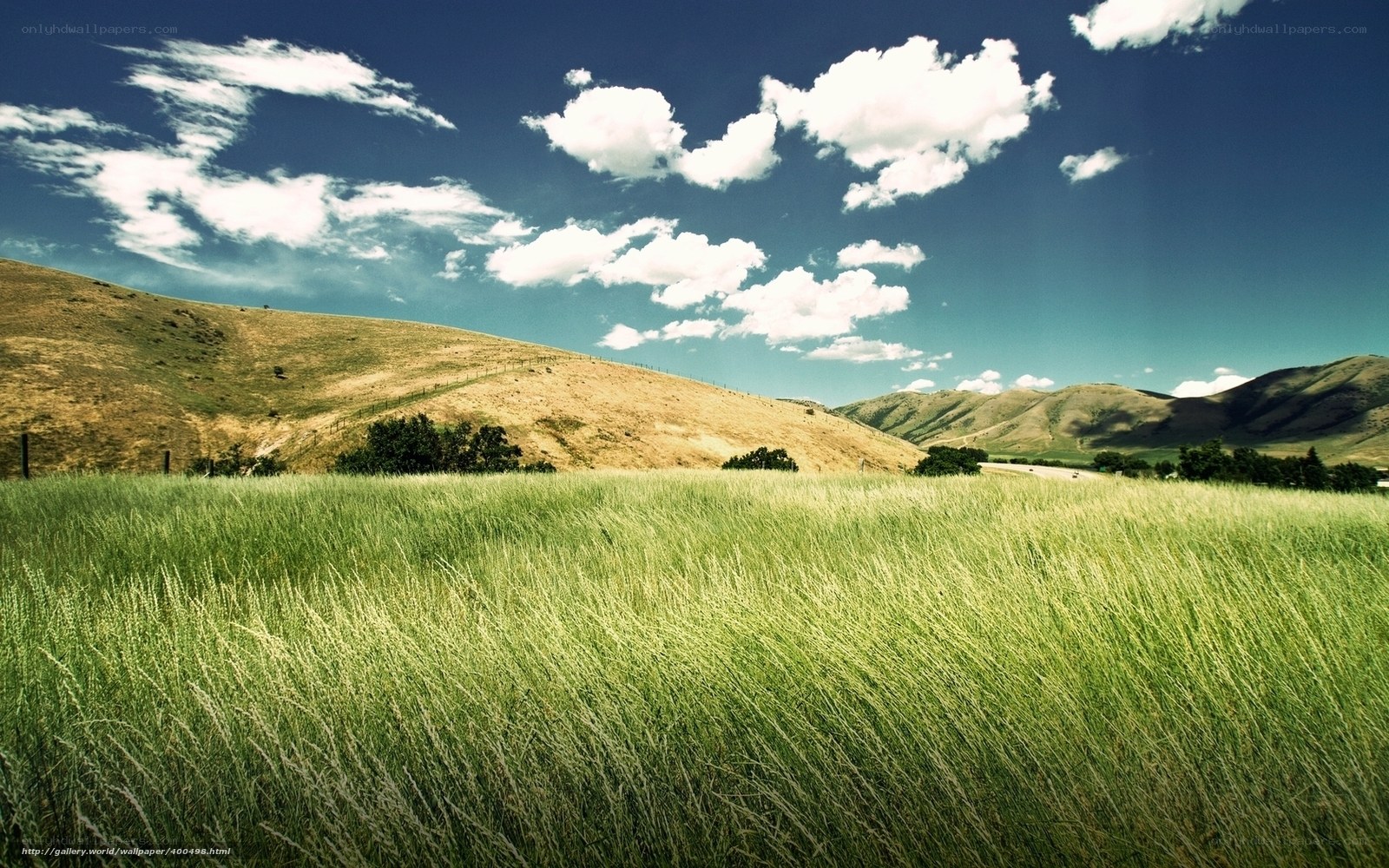 Grass field with hills