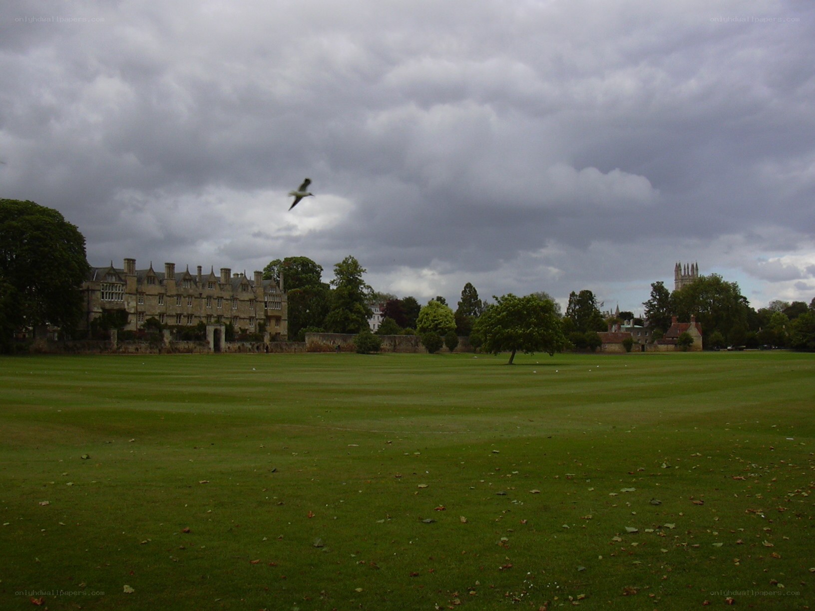 Grass field with historic buildings