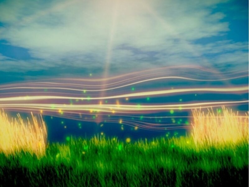 Grass field with light streaks