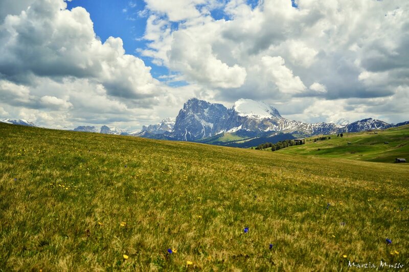 Grass field with mountain view