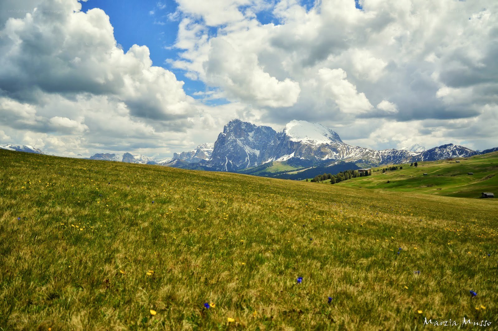 Grass field with mountain view
