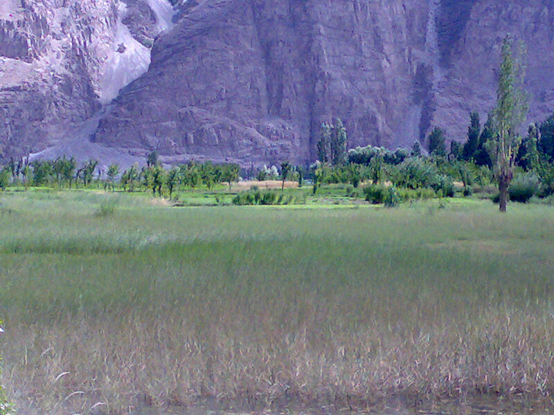 Grass field with mountains