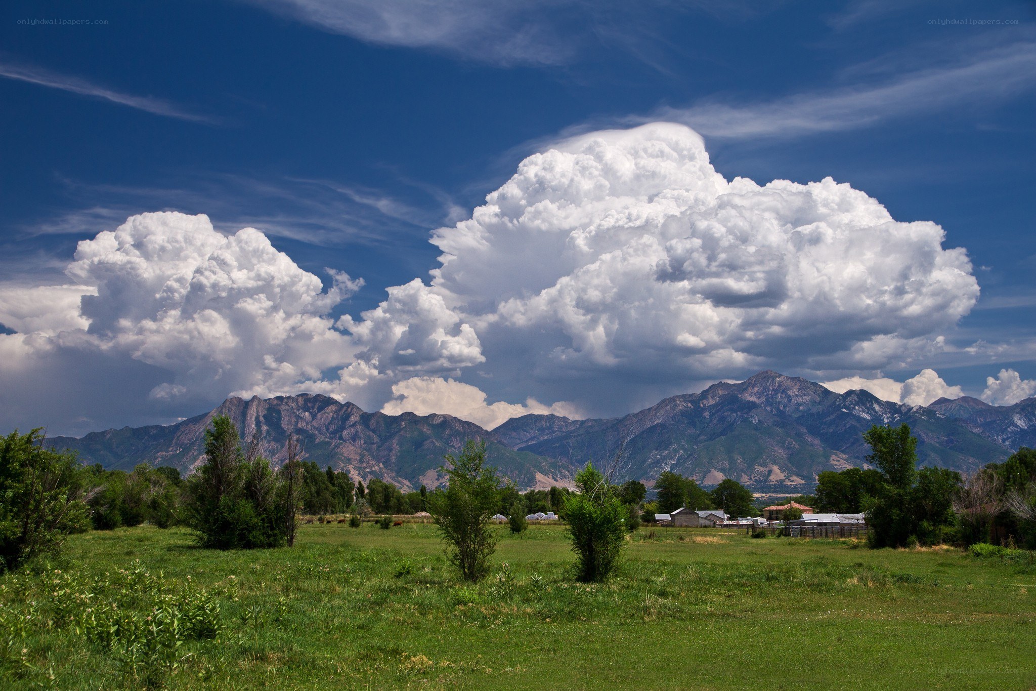Grass field with mountains and clouds