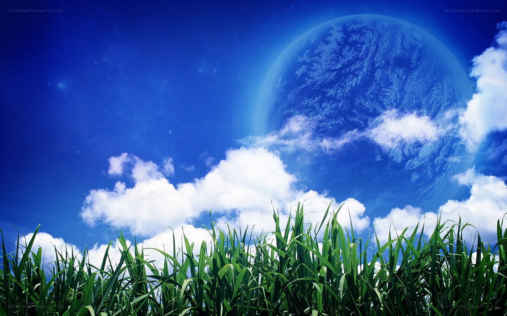 Grass field with planet in sky