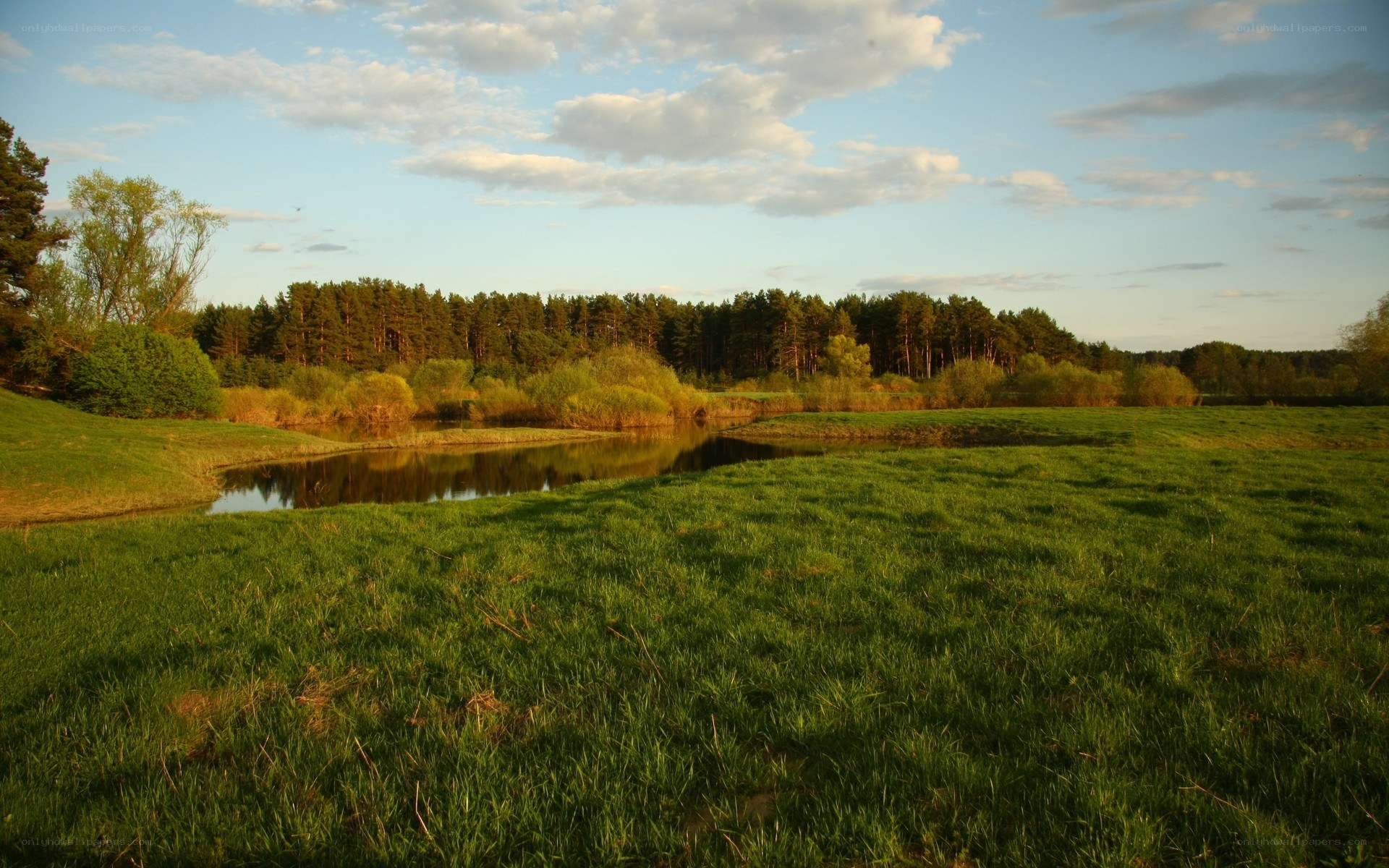 Grass field with pond at sunset