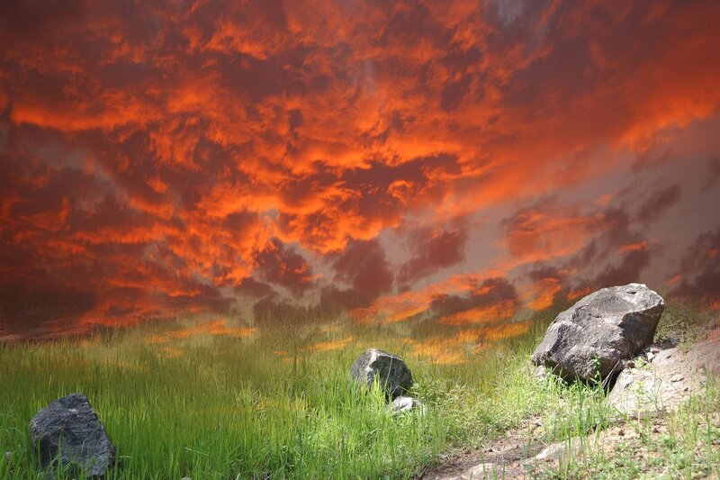 Grass Field with Rocks — Red