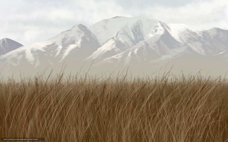 Grass field with snow-capped mountains