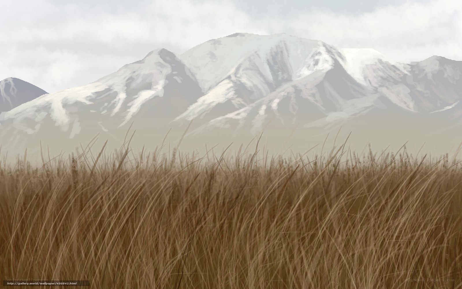Grass field with snow-capped mountains