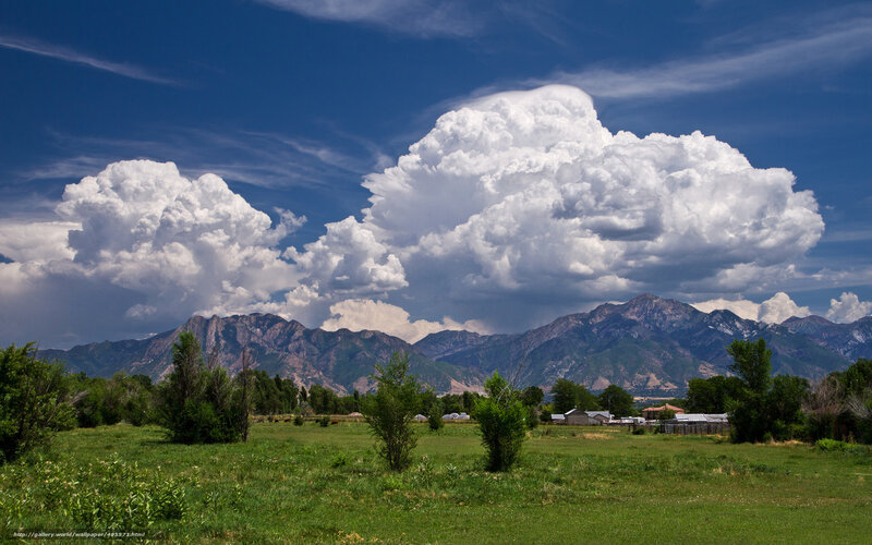Grass field with storm clouds