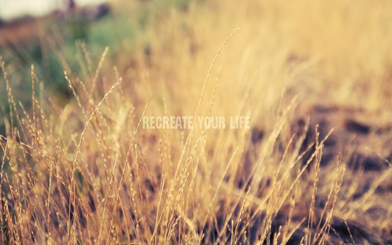 Grass field with text overlay
