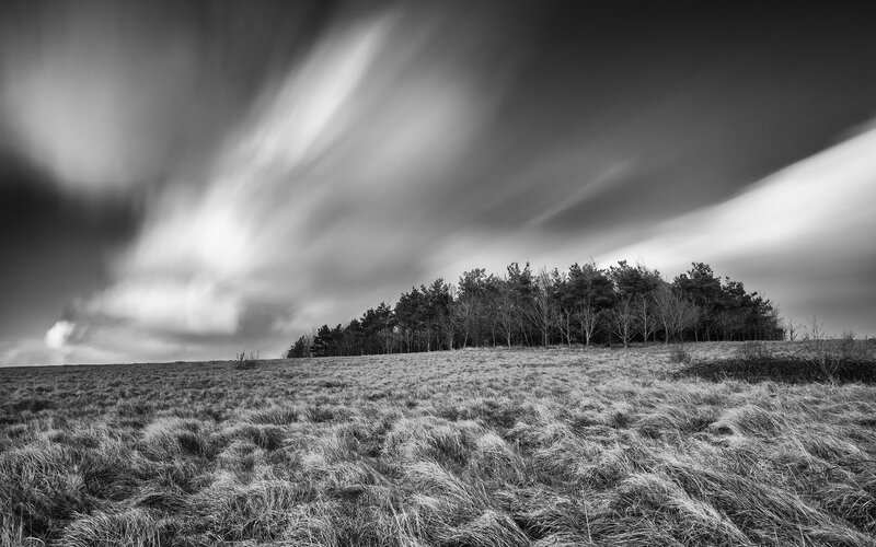 Grass field with trees and clouds