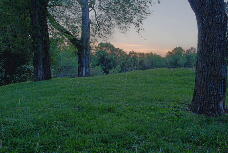 Grass Field with Trees — Green, Serene